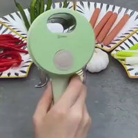 4 in 1 Portable Electric Vegetable Cutter Set