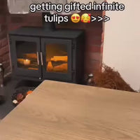 Tulip Cube Mirror Lamp