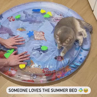Pet Water Sensory Play Mat