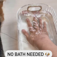 Steaming Pet Hairbrush